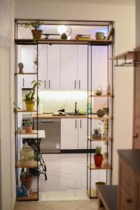 诺维萨德Garden Apartment - Oaza u centru grada的厨房配有白色橱柜和架子上的盆栽植物
