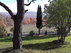 DonegalBaneberry Meadows B&B的田野中的一棵树,有栅栏和树木