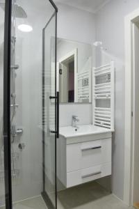雅戈丁那9 apartments的白色的浴室设有水槽和淋浴。