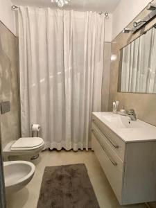 奥尔比亚Double A Luxury Apartment的一间带水槽、卫生间和镜子的浴室