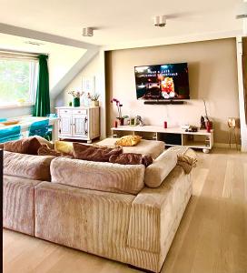 奥斯特罗达Lake View Ostróda Luxury Apartment的带沙发和平面电视的客厅