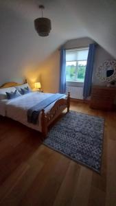 利默里克Breathneach House的一间卧室配有一张蓝色地毯和窗户。
