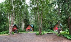 克利尔沃特小溪对面小屋旅馆的森林中间的几栋小屋