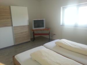 金茨堡法索德公寓的一间卧室设有两张床和一张桌子上的电视