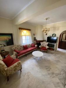 伊里斯斯Ikidiki Beach Villa的客厅配有沙发和桌子