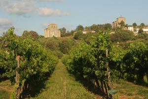 Pujols-sur-CironRomantic Gite nr St Emilion with Private Pool and Views to Die For的一座城堡的葡萄园