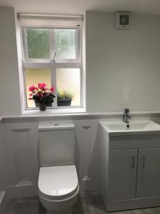 尼纳MOD’s place的一间带卫生间的浴室和鲜花窗户。