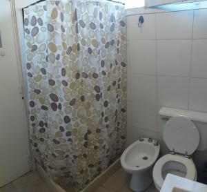 门多萨PUNTO COLON的一间带卫生间和淋浴帘的浴室