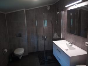 埃兹达尔Stenvåg Camping的带淋浴、盥洗盆和卫生间的浴室