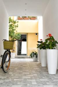 奥尔比亚VL Central Room的停放在种植盆栽植物的走廊上的自行车