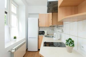 托伦Akademikus Toruń的厨房配有白色冰箱和水槽