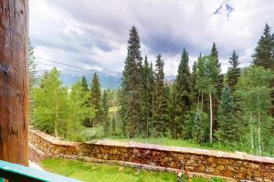 特柳赖德Mountain Lodge的从石墙可欣赏到森林的景色