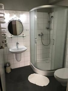 桑多梅日Rezydencja Sandomierska的带淋浴、盥洗盆和卫生间的浴室