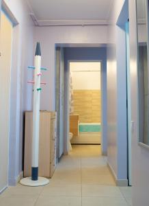 图尔恰Diana Sunshine Apartment的走廊中间的一间有导弹的房间