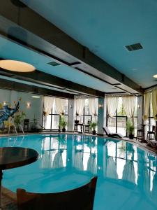 皮亚特拉-尼亚姆茨卡萨德鲁每图雷旅馆的在酒店房间的一个大型游泳池