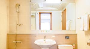 平昌平昌郡阿尔卑希亚假日套房酒店的一间带水槽、卫生间和镜子的浴室