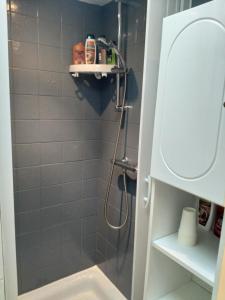 奥赖松Petite maisonnette d'environ 25m2 tout confort的带淋浴和盥洗盆的浴室