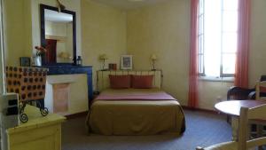 艾格-莫尔特Chambre d'hôte Farniente的一间卧室配有一张带壁炉和镜子的床