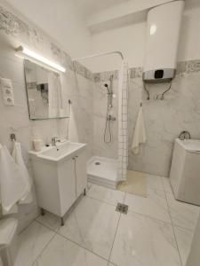布达佩斯Melinda Apartman 2的一间带水槽、淋浴和卫生间的浴室