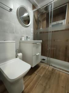阿尔苏阿Casa Luis的浴室配有卫生间、盥洗盆和淋浴。