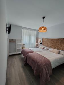阿尔苏阿Casa Luis的一间卧室配有两张床和吊灯。