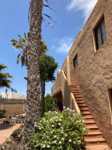 科拉雷侯Casa Camar的一座带楼梯的建筑旁的棕榈树