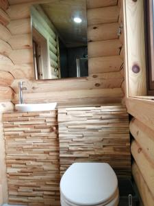 雷文格拉斯Ravenglass Log Cabin的木制浴室设有卫生间和水槽