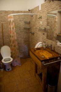 KřiniceStatek Křinice的浴室配有卫生间、淋浴和盥洗盆。