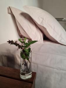 伦索伊斯Apartamento lençóis 103的睡床旁边的桌子上装有植物的花瓶