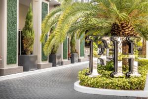 迈阿密财富之家套房公寓式酒店的一座庭院,在一座建筑里种有棕榈树