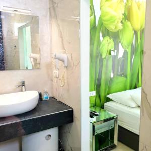 杜布罗夫尼克罗马拉公寓的一间带水槽和花壁画的浴室