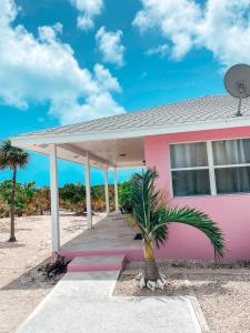 Hartswell热带风光景观别墅的一座粉红色的房子,前面有一棵棕榈树