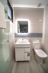 库拉尔-达斯弗雷拉斯Coração da Madeira的一间带水槽、卫生间和镜子的浴室