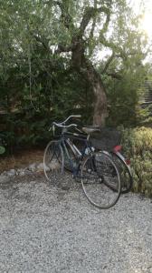 特拉尼B&B Villa Méditerranée con park的自行车停在树旁