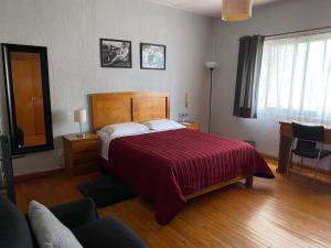 墨西哥城Cozy Private Room的一间卧室配有一张带红色毯子的大床