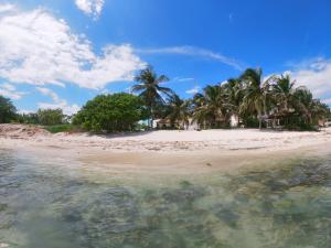 图卢姆Casa Colibrí Tankah的棕榈树和水的海滩