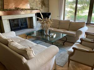 纳瓦塞拉达Gran chalet con piscina y apartamento en Navacerrada的带沙发和壁炉的客厅