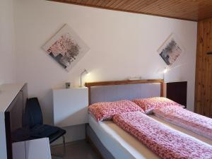 格雷兴Aletschblick的一间卧室配有一张床和一台电视。