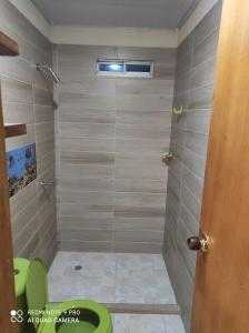 SantiagoHostal mis dos ángeles的带淋浴和绿色卫生间的浴室