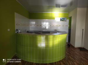 SantiagoHostal mis dos ángeles的一间绿色的厨房,在房间内配有柜台
