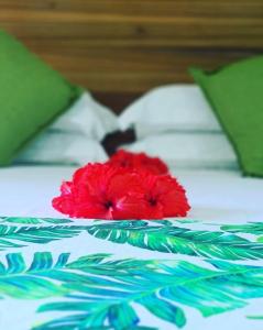 拉迪格岛卡萨德里拉自助旅馆的坐在床上的红花