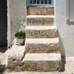 滨海波利尼亚诺La Casa Di Nicole的一套石头楼梯,有盆栽