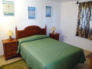 内尔哈卡兹派斯特诺酒店的一间卧室配有绿色的床和2个床头柜