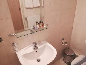 特尔斐莱托德尔福酒店的一间带水槽、镜子和卫生间的浴室
