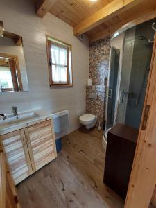 NiedzicaKANADYJKA domki drewniane的一间带水槽和卫生间的浴室
