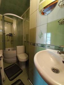 亚列姆切塔拉斯和莱西旅馆的一间带水槽、卫生间和淋浴的浴室