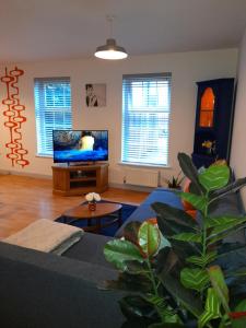 巴恩斯利Ideal Apartment - Sleeps 6 - Parking的带沙发和平面电视的客厅