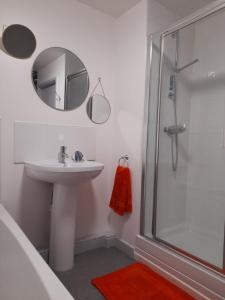 巴恩斯利Ideal Apartment - Sleeps 6 - Parking的浴室配有盥洗盆和带镜子的淋浴