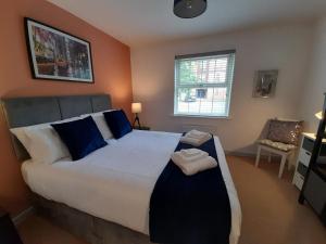 巴恩斯利Ideal Apartment - Sleeps 6 - Parking的一间卧室配有一张带蓝色枕头的大床