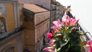 卡塞塔Sweet Central Hotel的享有粉红色鲜花阳台的景色